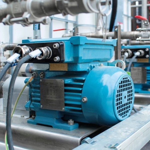 Industrial Motor